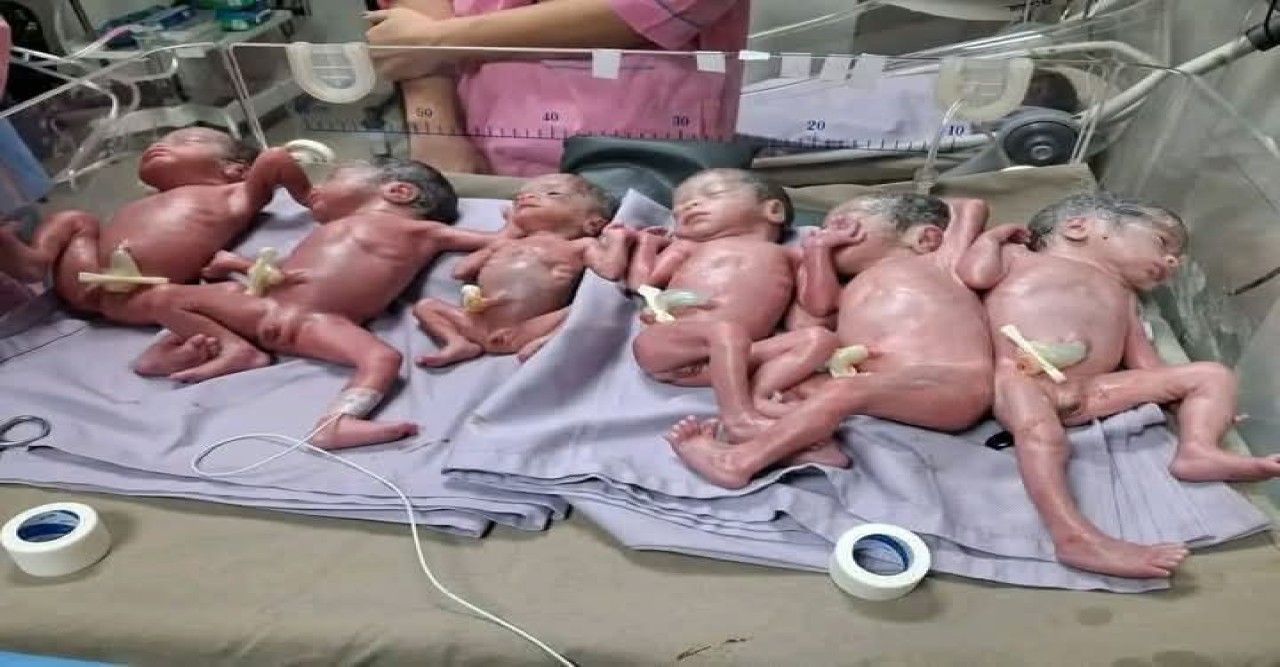 কক্সবাজারের মরিয়ম বেগমের গর্ভে জন্ম নিল ৬ নবজাতক, চট্টগ্রামের ন্যাশনাল হাসপাতালে এক অলৌকিক সাফল্য