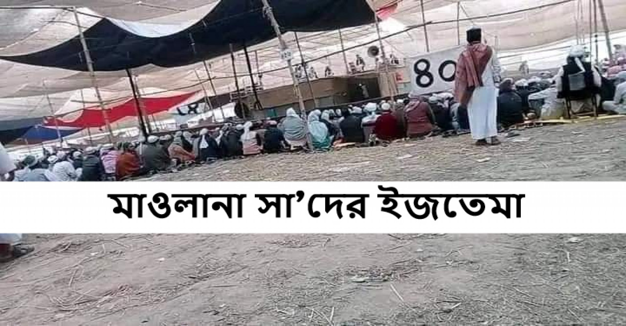 কেন মানবো না মাওলানা সা'দ কে
