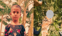 নতুন জামা পরে বাবাকে দেখিয়েছিল জুঁই, পরদিন মিলল পোড়া মরদেহ