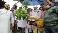 গোপালপুরে শহীদ জিয়ার শাহাদাৎ বার্ষিকীতে বৃক্ষরোপণ ও আলোচনা সভা অনুষ্ঠিত