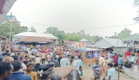 ঐতিহ্যবাহী সোনামুই হাটে কুরবানী পশুর ঢল, জমজমাট হাটের পরিবেশ