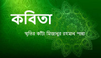 স্মৃতির কাঁটা মিজানুর রহমান পান্না