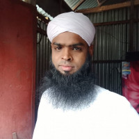 মাওলানা মোঃ দেলাওয়ার হোসাইন 
